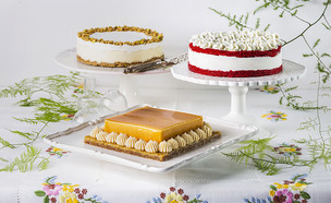 עוגות גבינה, ביסקוטי (צילום: בועז לביא, יחסי ציבור)