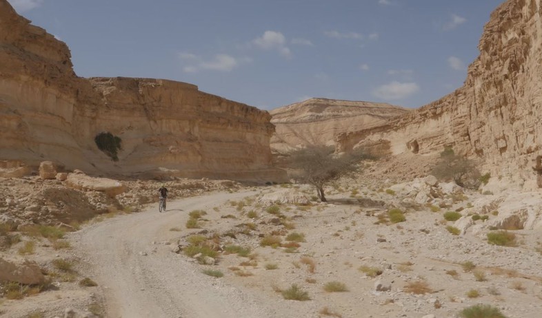 טיול אופניים בערבה (צילום: יחסי ציבור)