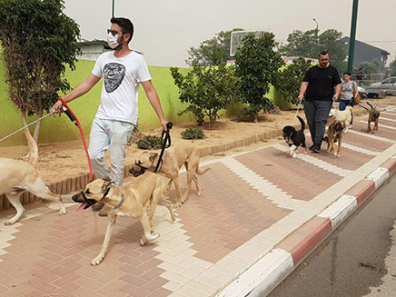 חיות המשק לא נפגעו (צילום: מועצה אזורית מרחבים)