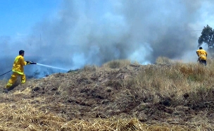 כיבוי שריפה סמוך לגבול עזה (צילום: החדשות)