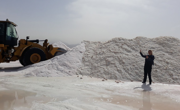 קליה מור במפעלי מלח הארץ (צילום: רויטל בן שחר, מאקו)