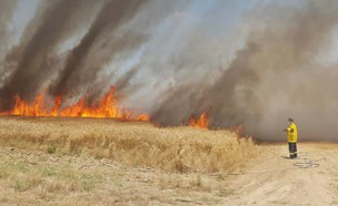 שריפה בשדות קיבוץ סעד (צילום: כרמל הלפרין)