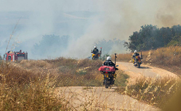 שריפה (צילום: צפריר ניר)