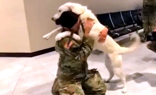צפו: חיילת פוגשת את הכלבה שלה אחרי 7 חודשים (צילום: CNN‎)