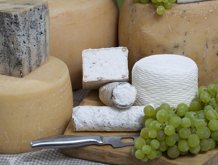 גבינות מחלבת אלטו (צילום: אנטולי מיכאלו,  יחסי ציבור )