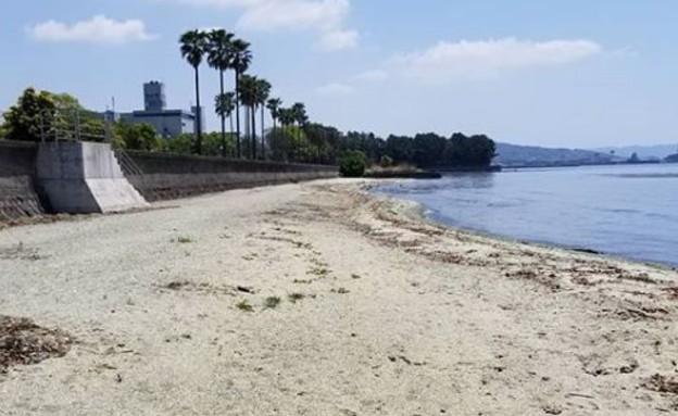 חוף ללא שם (צילום: Instagram/seiji_sagan17)