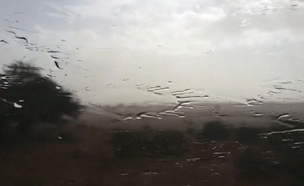 גשמים מאתמול בנחל צניפים (צילום: יובל שגיא, רשות הטבע והגנים)