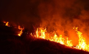 שריפה בשדה (צילום: neenawat khenyothaa, shutterstock)