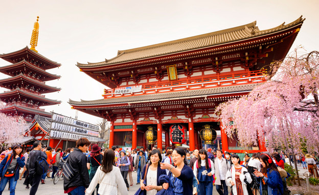 מקדש ביפן (צילום: 501room, Shutterstock)