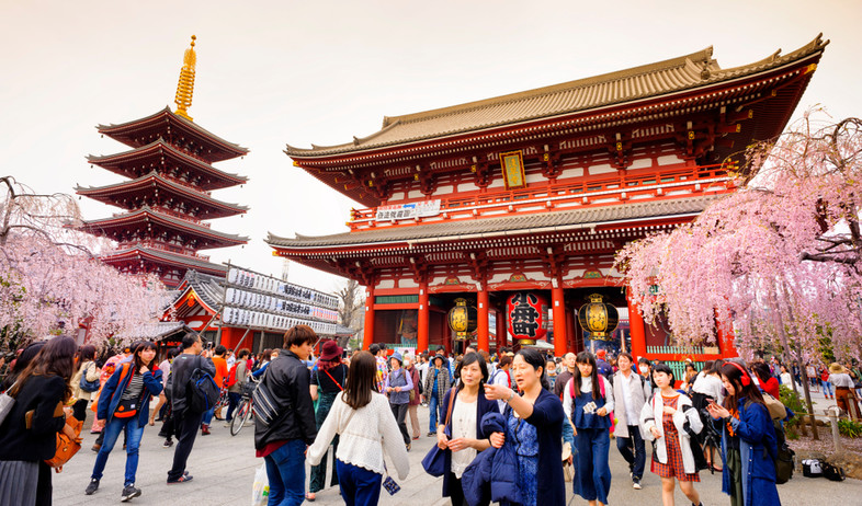 מקדש ביפן (צילום: 501room, Shutterstock)