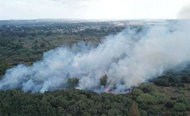 שריפה בשמורת כרמיה בשבת (צילום: אמנון זיו)