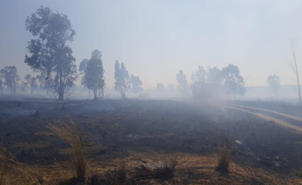 שריפה ביער בארי, היום (צילום: דני בן דוד, יערן קק״ל)