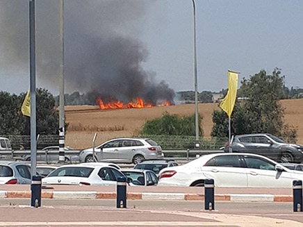 השריפה ליד מכללת ספיר (צילום: ליאור שרייבר)