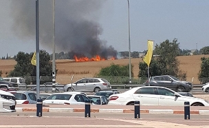 השריפה ליד מכללת ספיר (צילום: ליאור שרייבר)