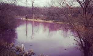 אגם אדום (צילום: Instagram/nail_stor_studio)
