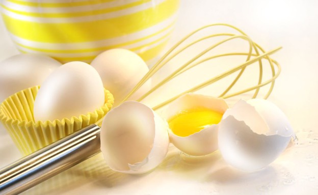 ביצים ומטרפה (צילום: ShutterStock)