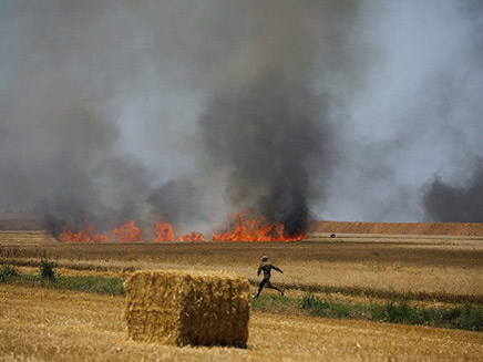 טרור השריפות נמשך (צילום: כבאות מחוז דרום)