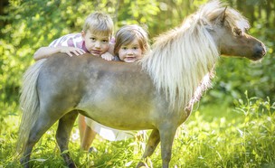 ילדים וסוסים מיניאטוריים (צילום: דפנה בן נון)