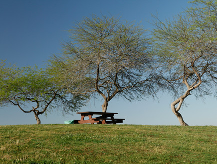 פארק אשכול (צילום: רשות הטבע והגנים)