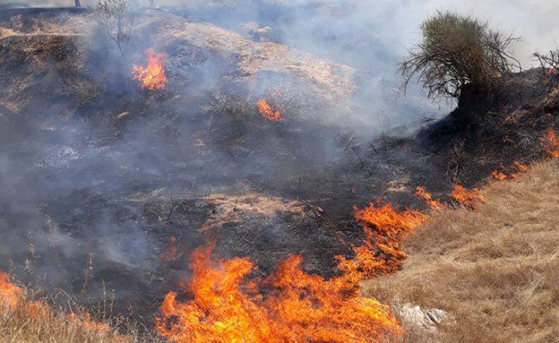 שריפות בעוטף עזה כתוצאה מעפיפונים (צילום: משה ברוכי, קק״ל, חדשות)
