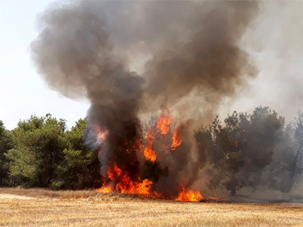 שריפה בעוטף (צילום: ביטחון אשכול, חדשות)