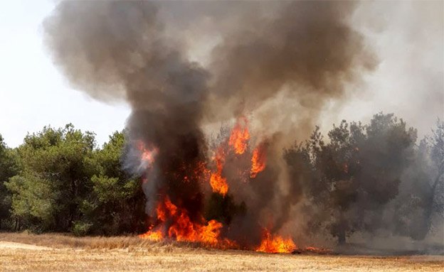 שריפה בעוטף (צילום: ביטחון אשכול, חדשות)