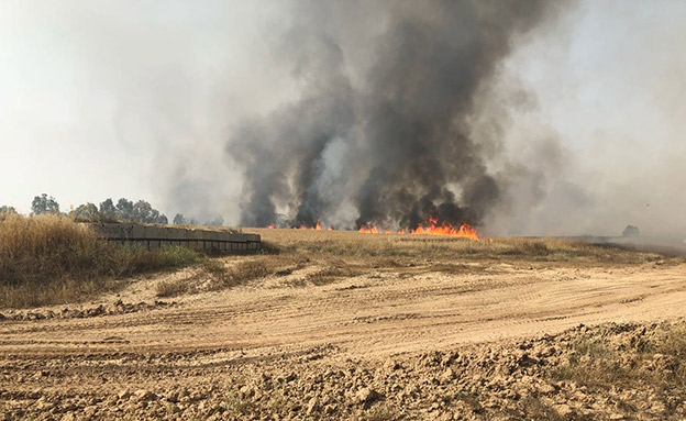 שריפה ביער בארי (ארכיון) (צילום: חדשות)
