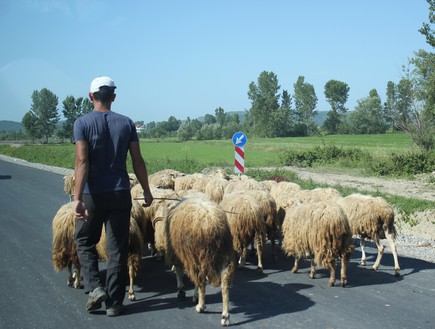 טיול באלבניה (צילום: מעיין גוטנמכר)