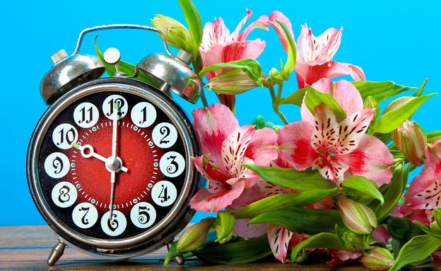 שעון מעורר עם פרחים (אילוסטרציה: Studio KIWI, shutterstock)