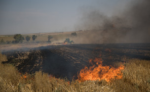 שריפה בעוטף עזה (צילום: יונתן סינדל, פלאש 90)