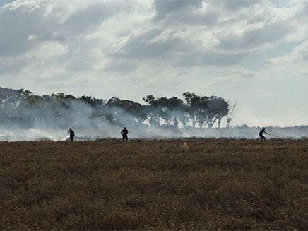 שרפות באזור כיסופים (צילום: יובל גינסברג, חדשות)