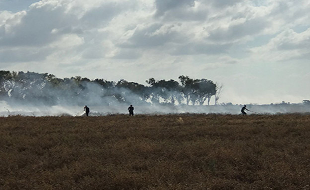 שרפות באזור כיסופים (צילום: יובל גינסברג, חדשות)
