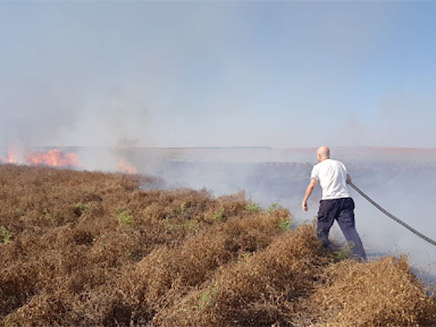 שריפה בשדה חומוס ליד סעד (צילום: חיים לנדסמן /TPS ‎, חדשות)
