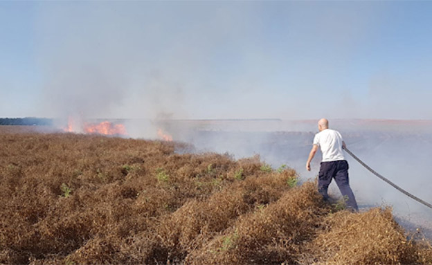 שריפה בשדה חומוס ליד סעד (צילום: חיים לנדסמן /TPS ‎, חדשות)