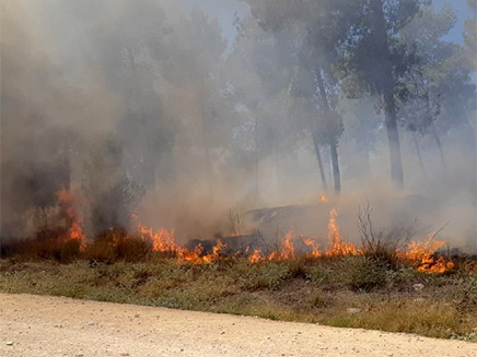 שרפות ביער כיסופים בסוף השבוע (צילום: דוברות הממשטרה, חדשות)