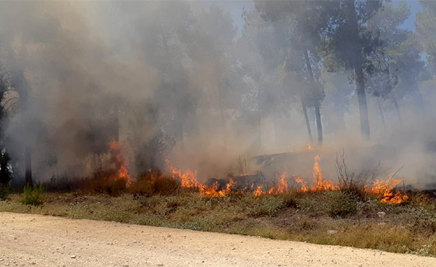 שרפות ביער כיסופים בסוף השבוע (צילום: דוברות הממשטרה, חדשות)