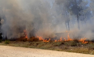 שרפות ביער כיסופים בסוף השבוע (צילום: דוברות הממשטרה, חדשות)
