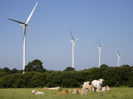 אנרגיה ירוקה בבלימה (צילום: רויטרס, חדשות)