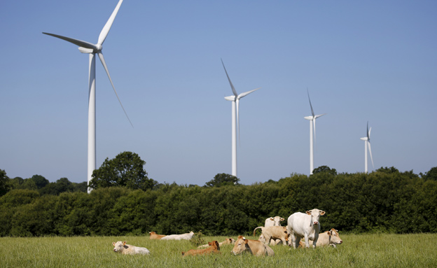 אנרגיה ירוקה בבלימה (צילום: רויטרס, חדשות)