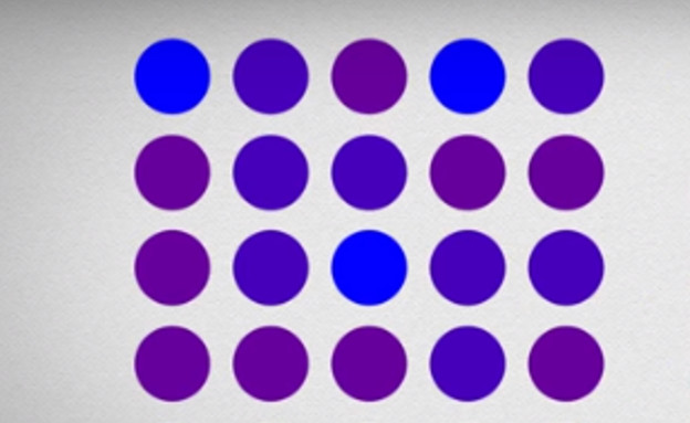 עיגולים כחולים או סגולים? (צילום: Science Magazine\יוטיוב)