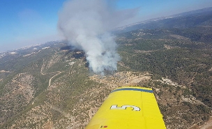 השרפה בבית מאיר, היום (צילום: חדשות)