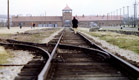 מחנה ההשמדה אושוויץ בפולין, ארכיון (צילום: רויטרס, חדשות)