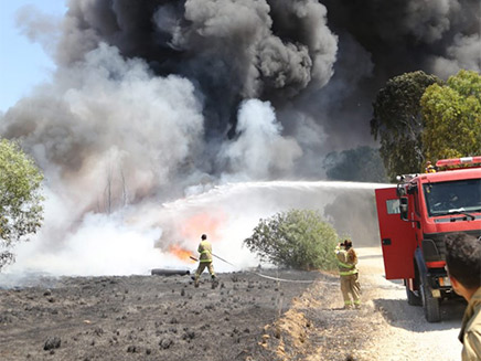 שריפות בעוטף עזה (צילום: איציק לוגסי, יערן קק