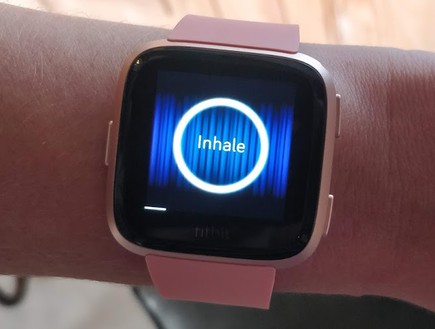 שעון חכם מדגם Fitbit Versa (צילום: Geektime)