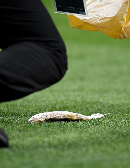 Getty Images (צילום: Dan Mullan; GettyImages IL)