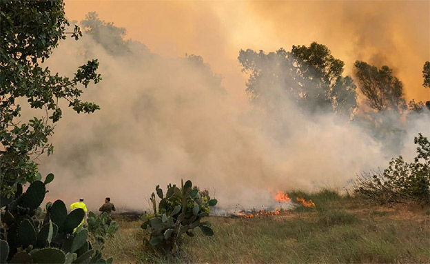 שרפה בעוטף עזה, היום (צילום: תומר עופרי / רשות הטבע והגנים, חדשות)