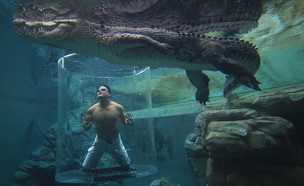 בריכות מטורפות (צילום: crocosauruscove.com)