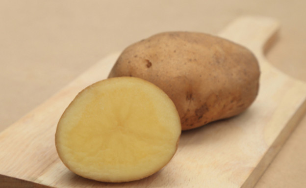 תפוחי אדמה (צילום: enrouteksm, Shutterstock)