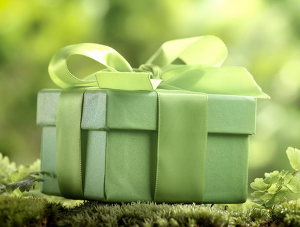 מתנה ירוקה (צילום: By Dafna A.meron, shutterstock)