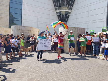 הפגנות הקהילה הגאה בחיפה (צילום: החדשות)